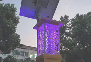 1595314492.jpg